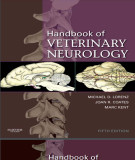 Ebook Handbook of veterinary neurology (5/E): Part 1