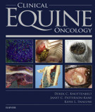 Ebook Clinical equine oncology: Part 2