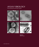 Ebook Avian virology - Current research and future trends: Part 2