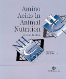 Ebook Amino acids in animal nutrition (2/E): Part 1