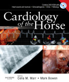 Ebook Cardiology of the horse (2/E): Part 2