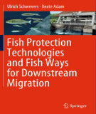 Ebook Fish protection technologies and fish ways for downstream migration: Part 2