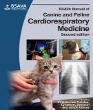 Ebook BSAVA manual of canine and feline cardiorespiratory medicine (2/E): Part 1