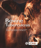 Ebook Bovine tuberculosis: Part 2