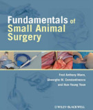 Ebook Fundamentals of small animal surgery: Part 1