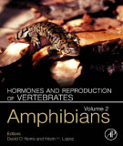 Ebook Hormones and reproduction of vertebrates (Vol 2: Amphibians): Part 1