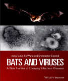 Ebook Bats and viruses: Part 2