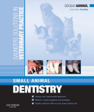 Ebook Saunders solutions in veterinary practice - Small animal dentistry: Part 2