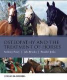 Ebook Osteopathy and the treatment of horses: Part 1