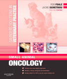 Ebook Saunders solutions in veterinary practice - Small animal oncology: Part 2