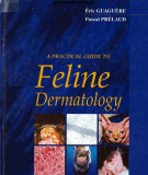 Ebook A practical guide to feline dermatology: Part 1