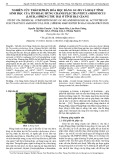 Nghiên cứu thành phần hóa học bằng GC-MS và hoạt tính sinh học của tinh dầu húng chanh Plectranthus amboinicus (Lour.) Spreng thu hái ở tỉnh Hậu Giang