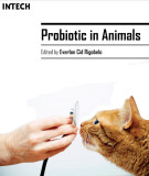 Ebook Probiotic in animals: Part 1
