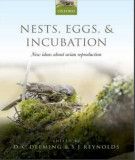Ebook Nests, eggs, and incubation - New ideas about avian reproduction: Part 1