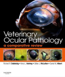 Ebook Veterinary ocular pathology - A comparative review: Part 2