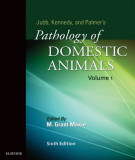 Ebook Jubb, Kennedy & Palmer's pathology of domestic animals (Vol 1 - 6/E): Part 1