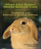 Ebook When your rabbit needs special care - Traditional and alternative healing methods: Part 2