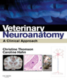 Ebook Veterinary neuroanatomy - A clinical approach: Part 1