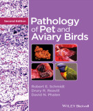 Ebook Pathology of pet and aviary birds (2/E): Part 2
