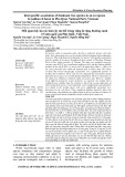 Interspecific association of dominant tree species in an evergreen broadleaved forest in Phu Quoc National Park, Vietnam