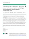 Comprehensive analysis of cancer of unknown primary and recommendation of a histological and immunohistochemical diagnostic strategy from China