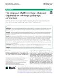 The prognosis of different types of pleural tags based on radiologic-pathologic comparison