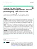 Deep learning-based tumor microenvironment segmentation is predictive of tumor mutations and patient survival in non-small-cell lung cancer