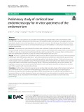 Preliminary study of confocal laser endomicroscopy for in vitro specimens of the endometrium