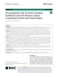 The prognostic role of tumor mutation burden on survival of breast cancer: A systematic review and meta-analysis