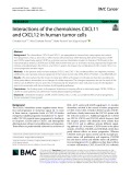 Interactions of the chemokines CXCL11 and CXCL12 in human tumor cells