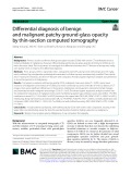Differential diagnosis of benign and malignant patchy ground-glass opacity by thin-section computed tomography