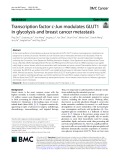 Transcription factor c-Jun modulates GLUT1 in glycolysis and breast cancer metastasis