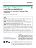Differential methylation patterns in lean and obese non-alcoholic steatohepatitis-associated hepatocellular carcinoma
