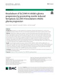Knockdown of SLC39A14 inhibits glioma progression by promoting erastin-induced ferroptosis SLC39A14 knockdown inhibits glioma progression
