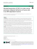 Elevated expression of CXCL3 in colon cancer promotes malignant behaviors of tumor cells in an ERK-dependent manner
