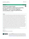 Systematic analysis based on the cuproptosis-related genes identifies ferredoxin 1 as an immune regulator and therapeutic target for glioblastoma