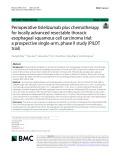 Perioperative tislelizumab plus chemotherapy for locally advanced resectable thoracic esophageal squamous cell carcinoma trial: a prospective single-arm, phase II study (PILOT trial)