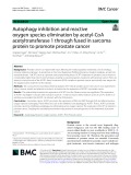 Autophagy inhibition and reactive oxygen species elimination by acetyl-CoA acetyltransferase 1 through fused in sarcoma protein to promote prostate cancer