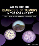 Ebook Atlas for the diagnosis of tumors in the dog and cat: Part 2