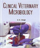 Ebook Clinical veterinary microbiology: Part 2