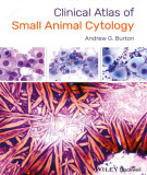 Ebook Clinical atlas of small animal cytology: Part 1