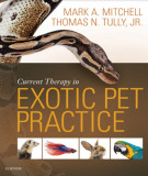 Ebook Current therapy in exotic pet practice: Part 2