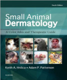 Ebook Small animal dermatology - A color atlas and therapeutic guide (4/E): Part 2