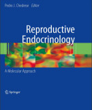 Ebook Reproductive endocrinology: Part 2
