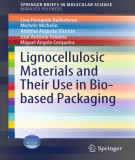 Ebook Lignocellulosic materials and their use in bio-based packaging