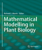 Ebook Mathematical modelling in plant biology