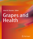 Ebook Grapes and health