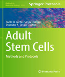 Ebook Adult stem cells: Methods and protocols