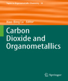 Ebook Carbon dioxide and organometallics