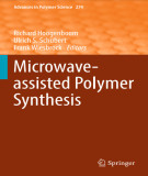 Ebook Microwave-assisted polymer synthesis
